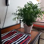 Geranios